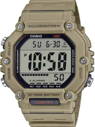 Casio TIMELESS COLLECTION AE-1600H-5A